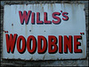 Wills's Woodbine
