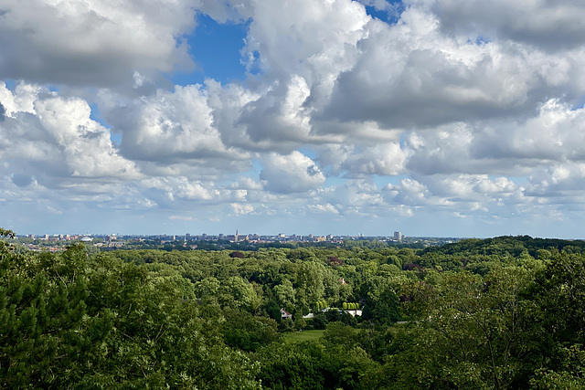 View of Haarlem