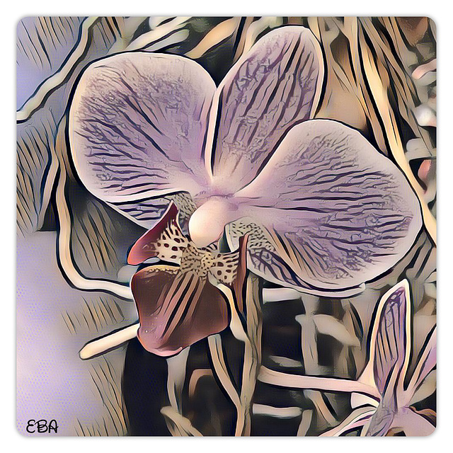 Orchideé Art