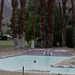 Palm Springs pool (0138)