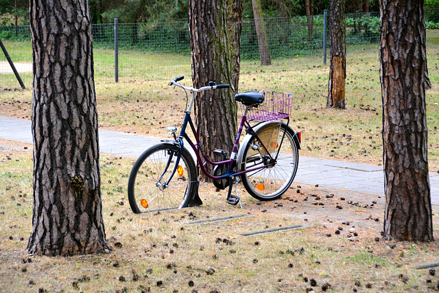 Dessau-Roßlau 2015 – MIFA Bicycle