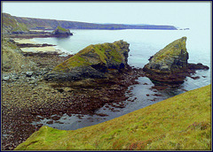 Porthcadjack - very low tide.