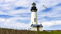 Yaquina Head Lighthouse