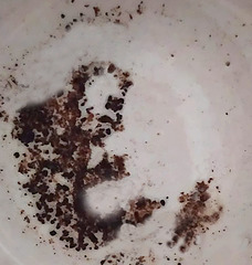 world photograph day - Coffee grounds
