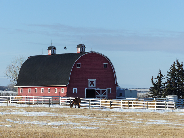 The peace of a prairie farm - my main photo today