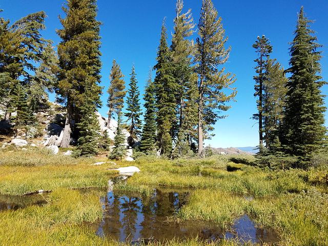 Headwaters of Squaw Creek