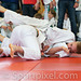 oster-judo-0516 17148264435 o