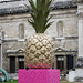 giant pineapple