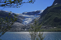 Svartisen Glacier 3