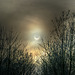 Partielle Sonnenfinsternis 4.1.2011 etwa um 10:15. ©UdoSm