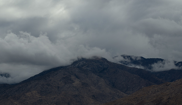 Palm Springs rain (0150)