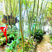 Im Bambus-Märchen-Wald...©UdoSm