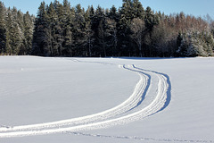 2 Spuren im Schnee