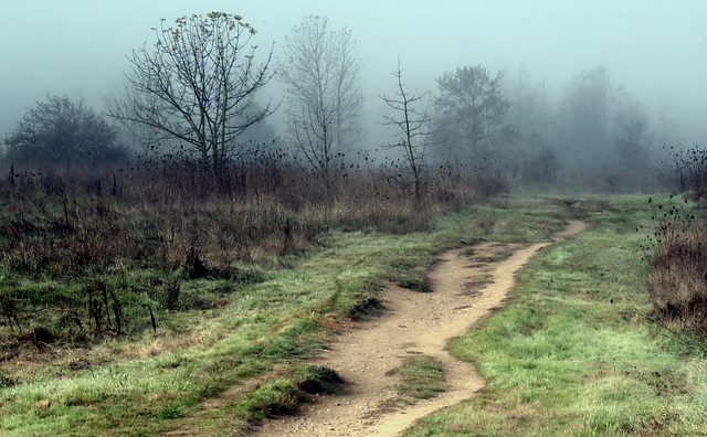 Dirt path and fog