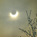 Partielle Sonnenfinsternis 4.1.2011 etwa um 10:15. ©UdoSm