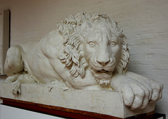 Canova Lion