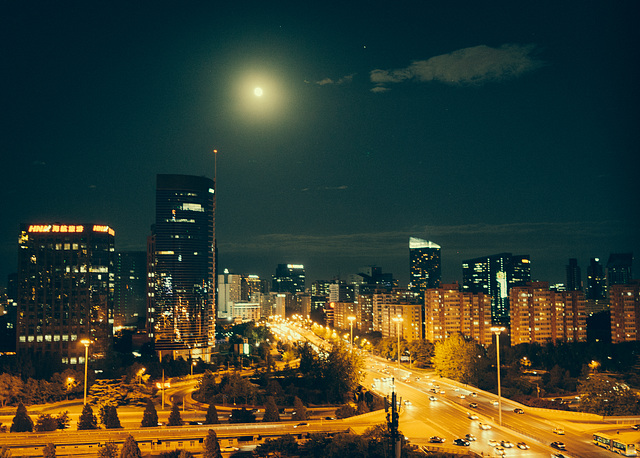 Moonlight in the City
