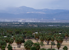 Palm Springs climate change (0152)