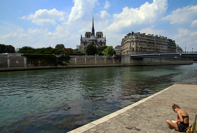 Les jolis bords de Seine
