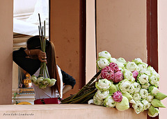 Cambodian Florist