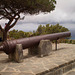 Old cannon.