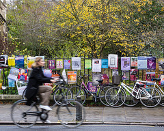 Cambridge bicycles