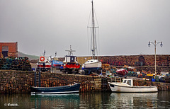 Silent Working Harbour  (Pip)