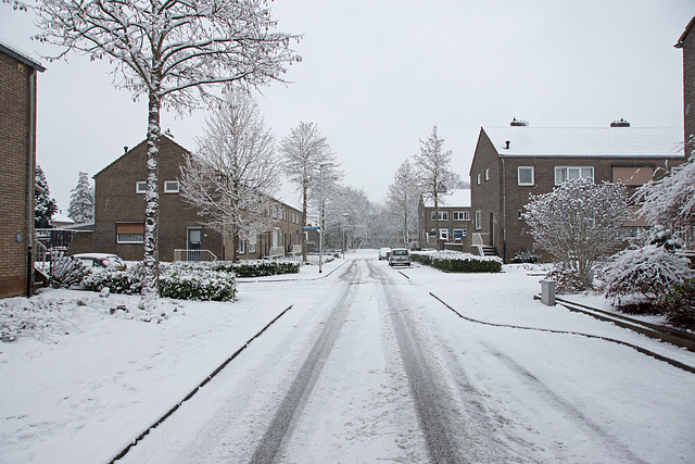 Winter impressions from my neighbourhood ! Heerlen_NL