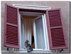 Rome moderators  meeting 2012 -Window with cat