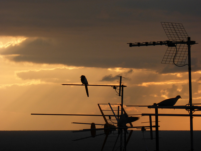 a cosa servono le antenne ?