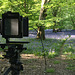 Large format in the woods (1)