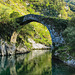 Puente La Vidre.  Rio Cares.  Asturias.