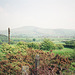 Looking towards Dent (345m)  looking over the villages of  Moor Row and Cleator (scan from 1990)