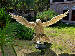 AbuDhabi : Un altro uccello illuminato a led nel parco del museo