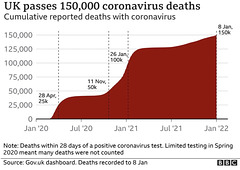 cvd - UK cumulative deaths