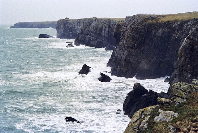 Looking westward towards Mewsford Point from near The Castle on the Pembrokeshire Coast Path (Feb 1995, scan)