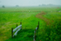 Raining  fence, HFF