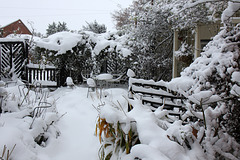 Front garden under snow