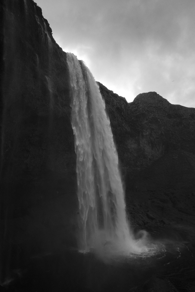 Seljalandsfoss L1003972