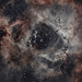 Rosette Nebula NGC 2244