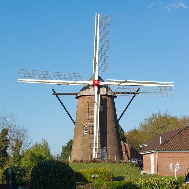 Emmerich - Gerritzens Mühle auf dem Möllenbölt DSC01599