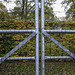 Gates and Beech hedges for HFF