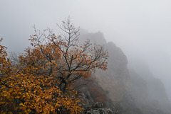Picos de Europa, Misty