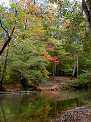 Big Wills Creek - Early Fall