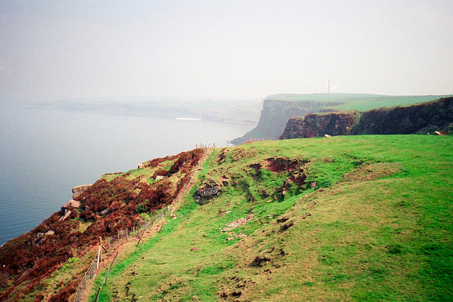 Cliffs above Fleswick Bay (scan from 1990)