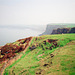 Cliffs above Fleswick Bay (scan from 1990)