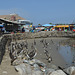 Lima, Playa Agua Dulce, A Lot of Pelicans at the Fish Market