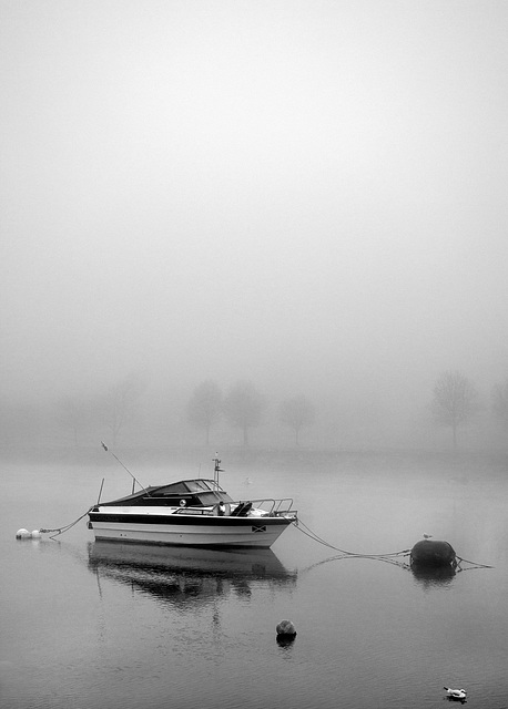 River Leven in the Fog