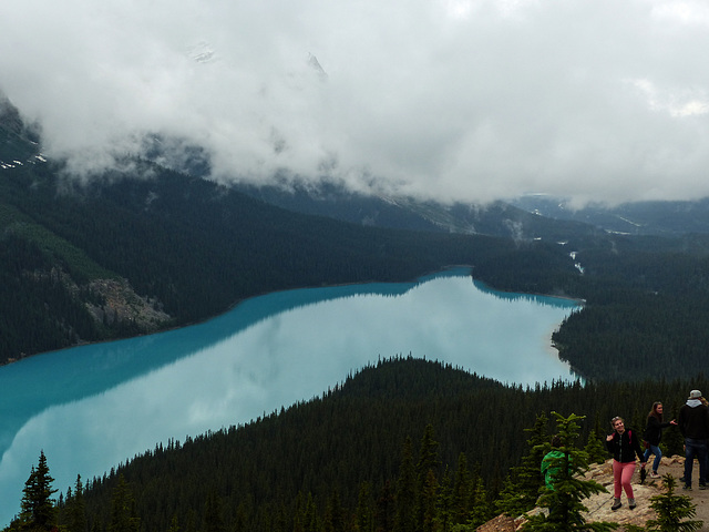 Beautiful Peyto Lake