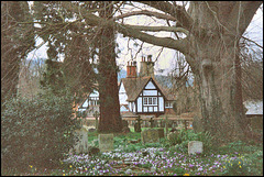 Goring churchyard in spring